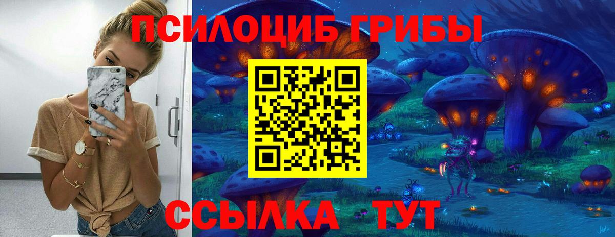 Карталы  Псилоцибиновые грибы мицелий  Вход с VPN 
